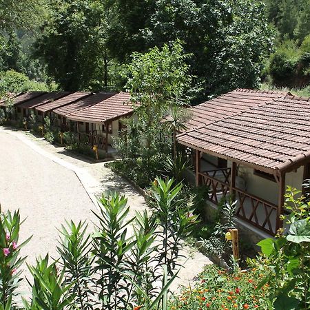 Eco Family Park Beskonak Bagian luar foto