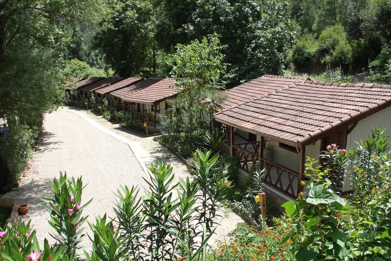 Eco Family Park Beskonak Bagian luar foto