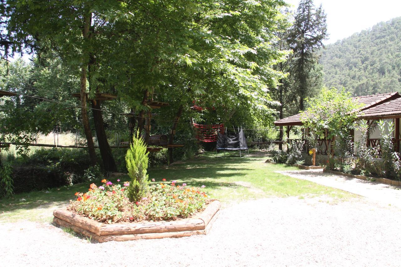 Eco Family Park Beskonak Bagian luar foto