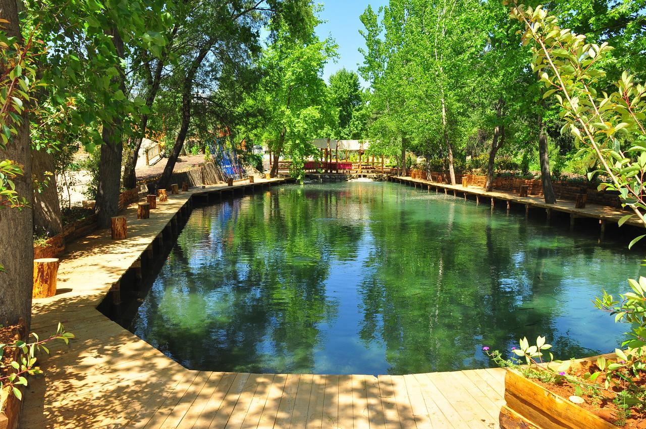 Eco Family Park Beskonak Bagian luar foto