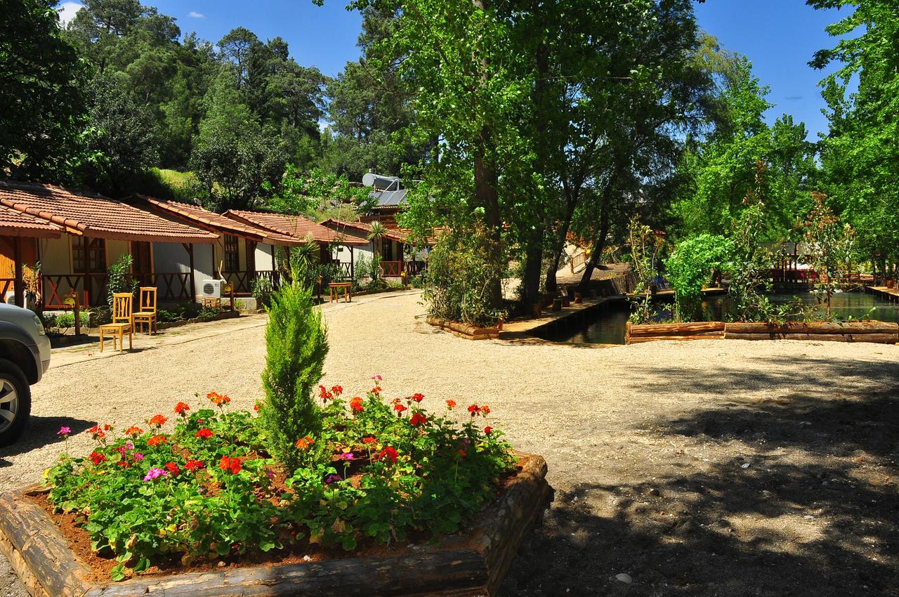 Eco Family Park Beskonak Bagian luar foto