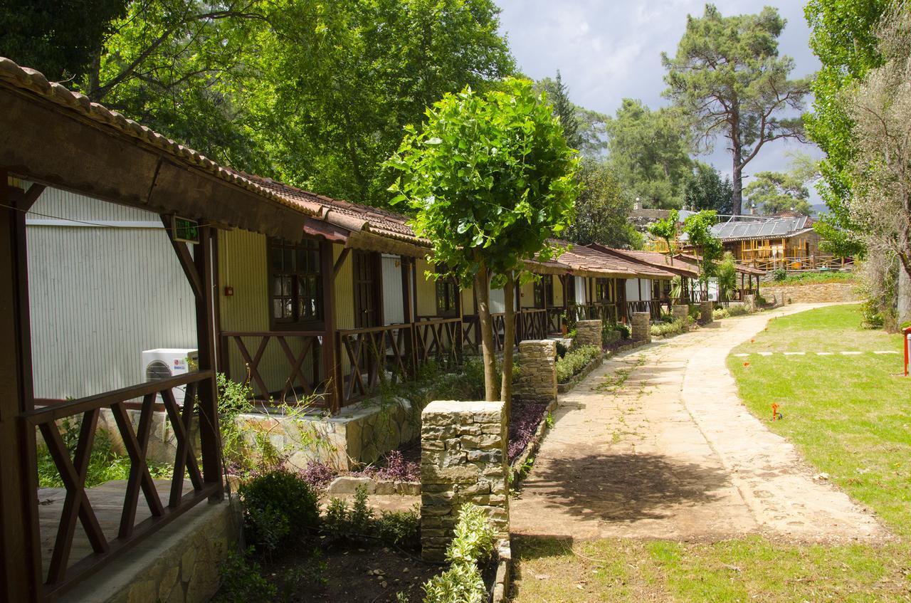 Eco Family Park Beskonak Bagian luar foto