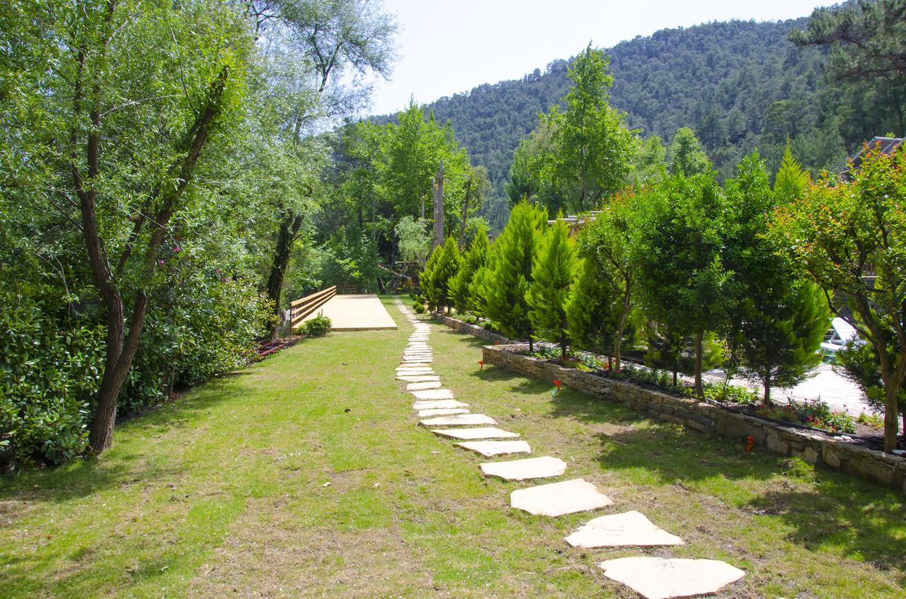 Eco Family Park Beskonak Bagian luar foto