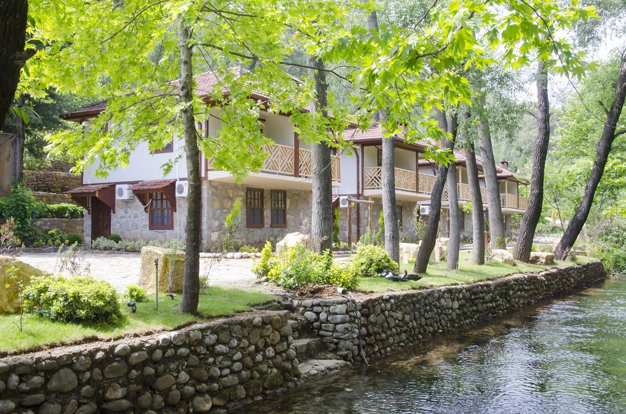 Eco Family Park Beskonak Bagian luar foto