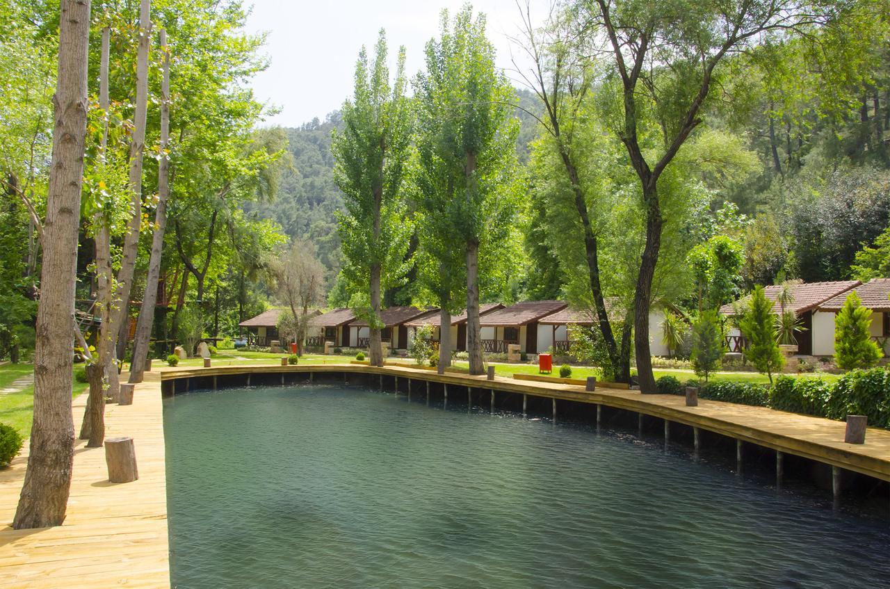 Eco Family Park Beskonak Bagian luar foto