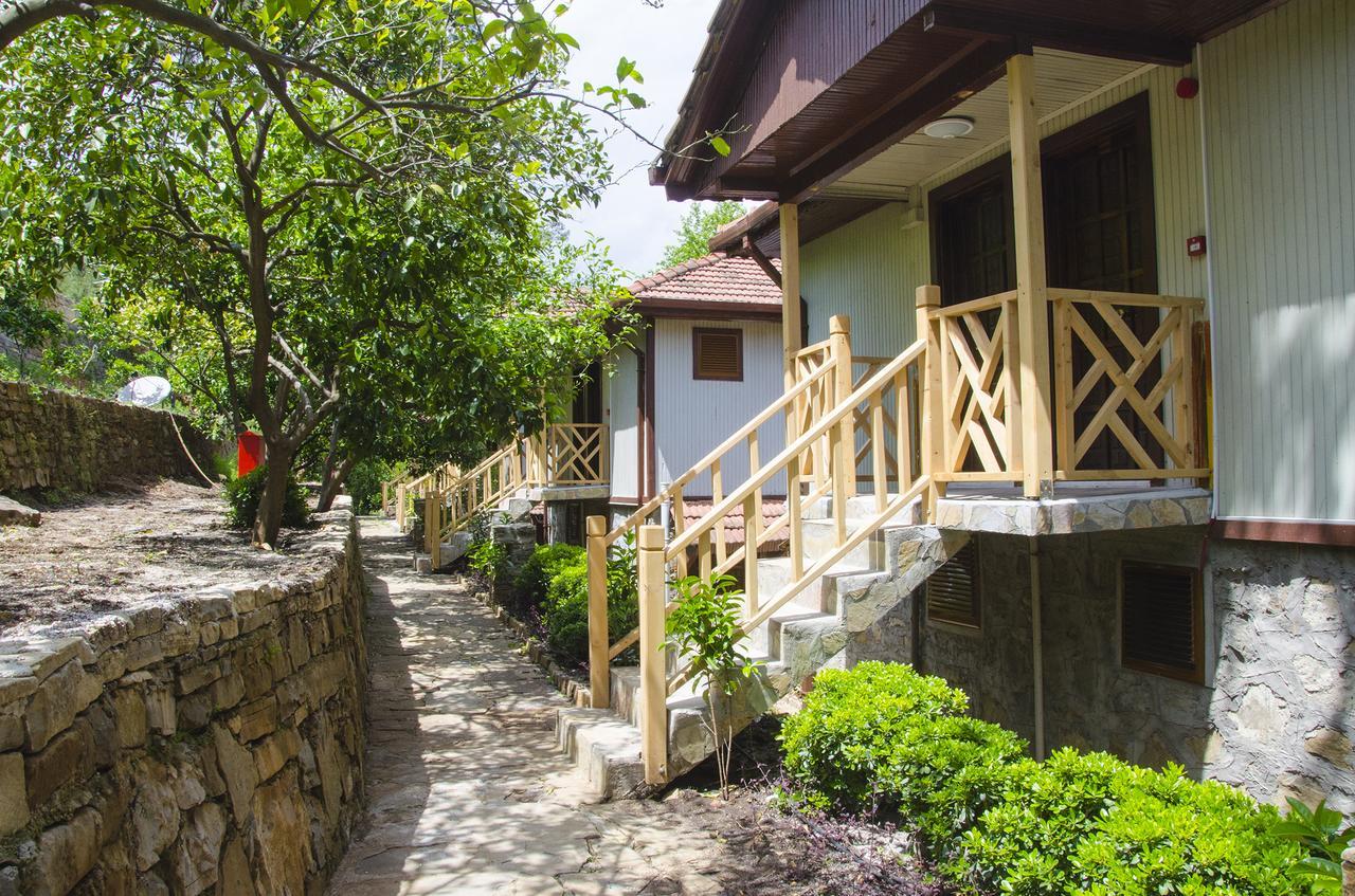 Eco Family Park Beskonak Bagian luar foto