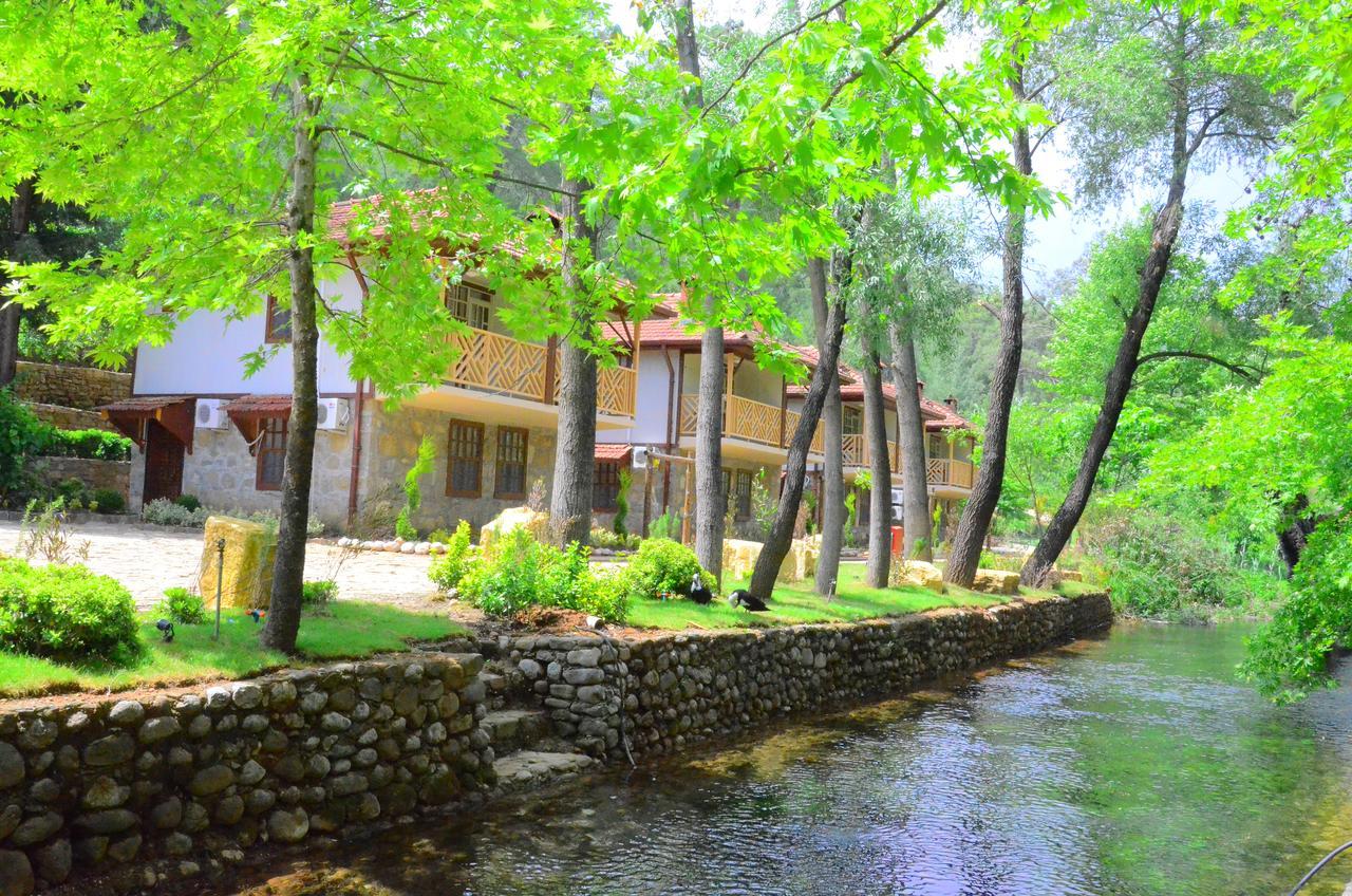 Eco Family Park Beskonak Bagian luar foto