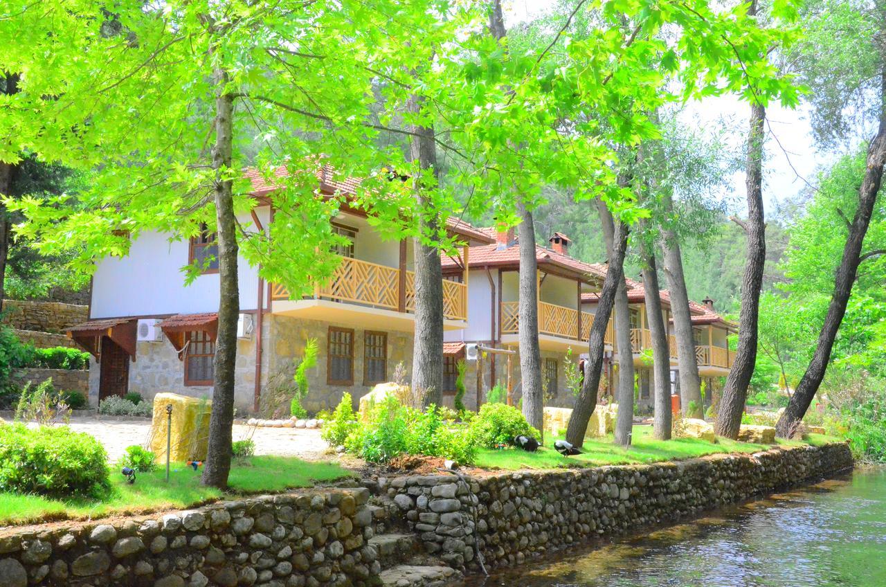 Eco Family Park Beskonak Bagian luar foto